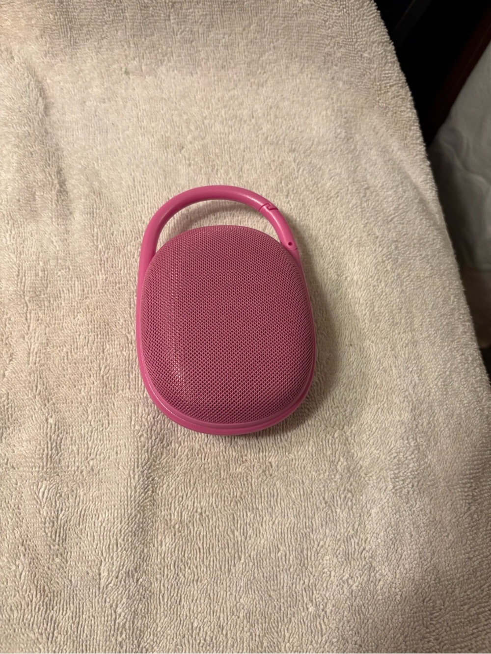 Portable Pink Bluetooth Speaker with Carabiner Handle